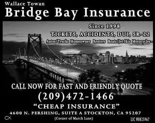 Bridgebay Insurance