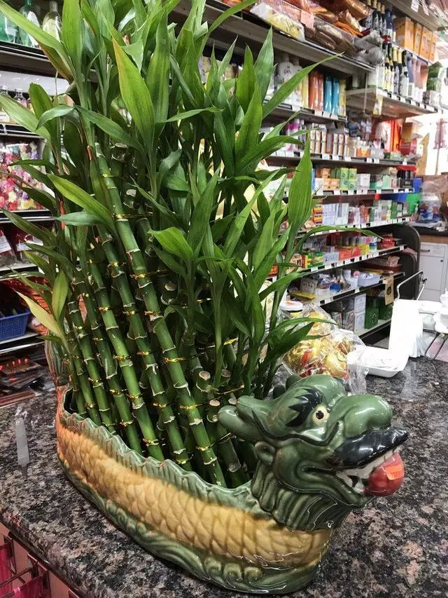 Angkor Asian Market