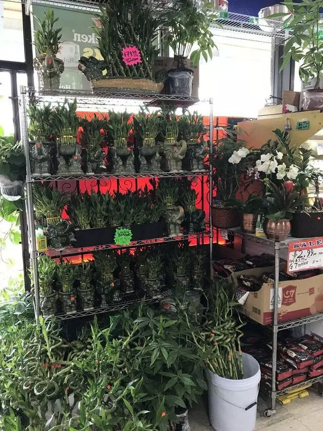 Angkor Asian Market