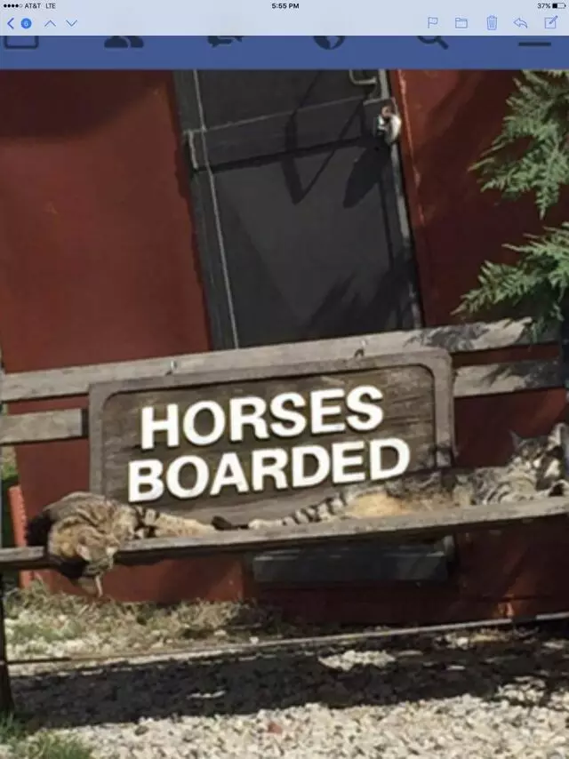 Alpine Boarding Stable
