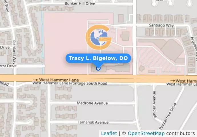 Tracy L. Bigelow, DO