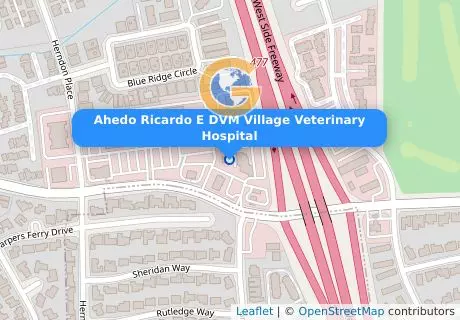 Ahedo Ricardo E DVM Village Veterinary Hospital