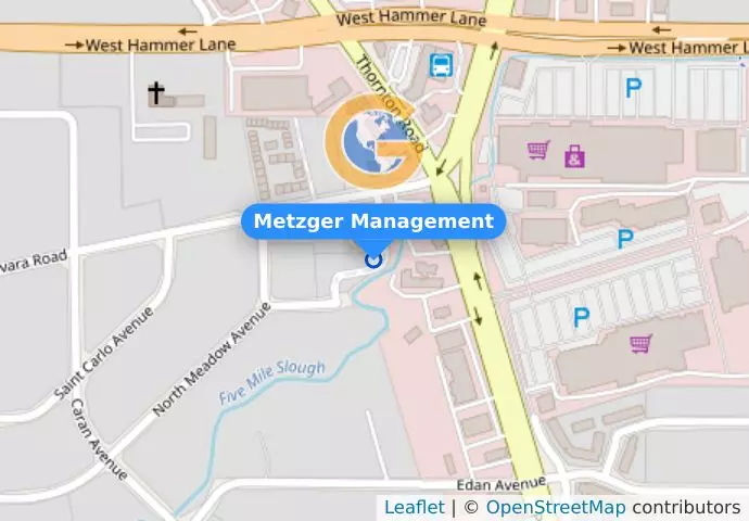 Metzger Management