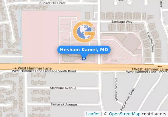 Hesham Kamel, MD
