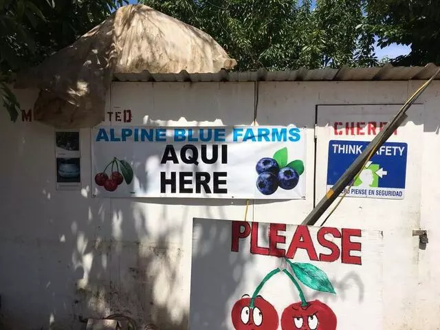 Alpine Blue Farms