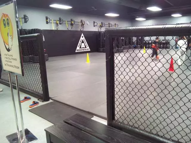 American Martial Arts Academy
