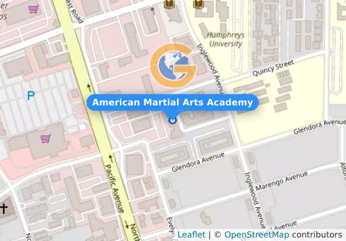 American Martial Arts Academy