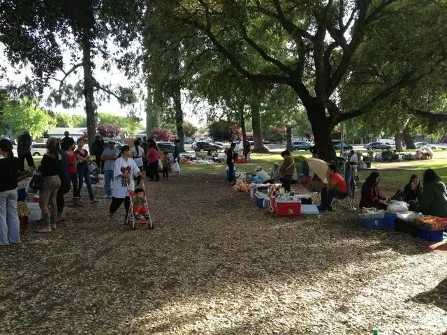 Angel Cruz Park Papaya
