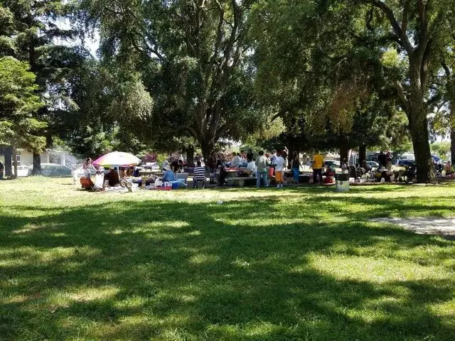 Angel Cruz Park Papaya