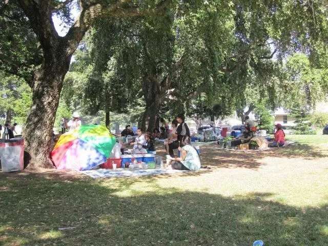 Angel Cruz Park Papaya
