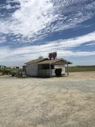 Strawberries Picked Fresh Daily