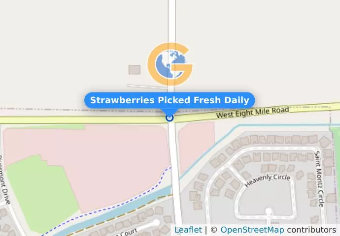 Strawberries Picked Fresh Daily