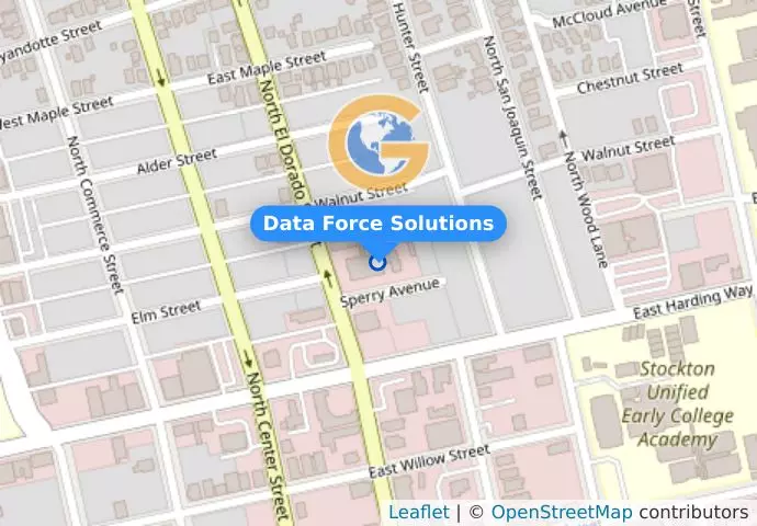 Data Force Solutions