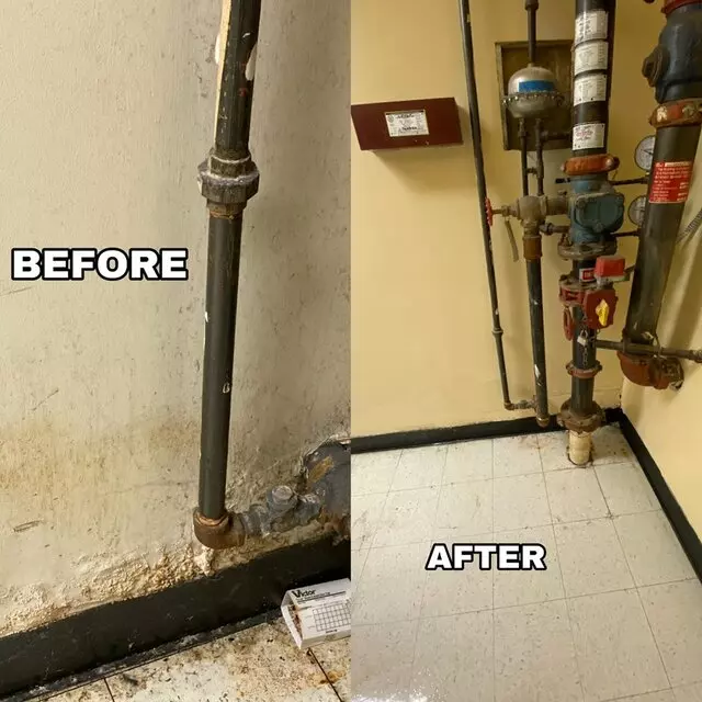 Legacy-Pro Janitorial Service