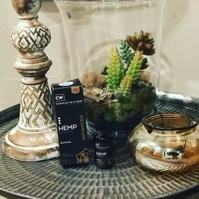 Aesthetics by Tati