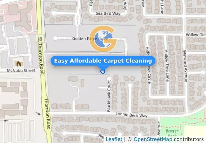 Easy Affordable Carpet Cleaning