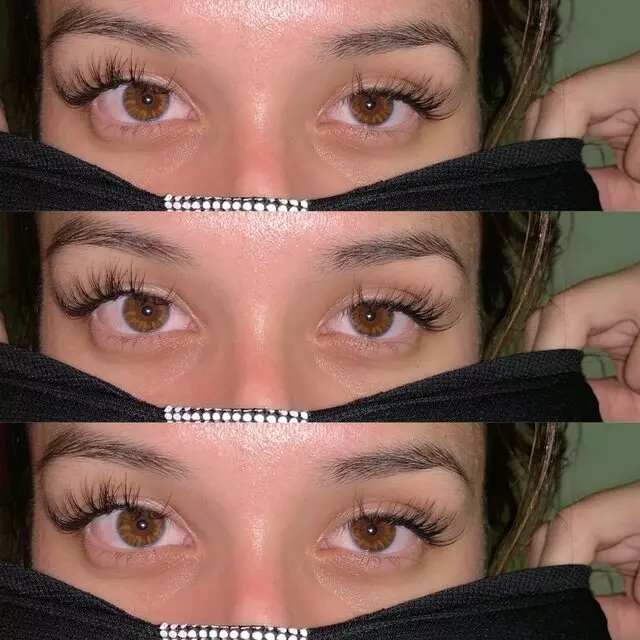 K Lashmeout